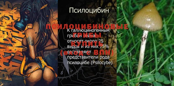 твердый Абинск