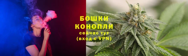 твердый Абаза