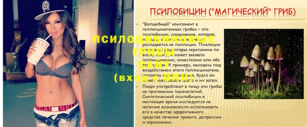 mdpv Нязепетровск
