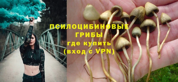 твердый Абаза