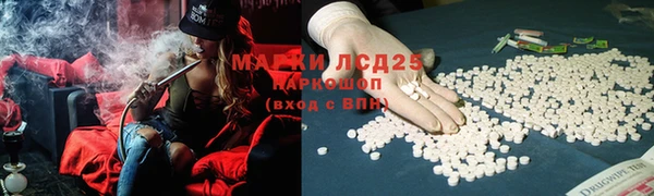 твердый Абаза
