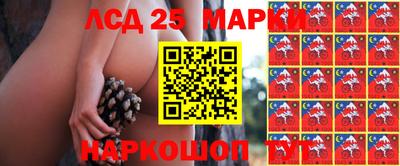 MDMA Краснознаменск