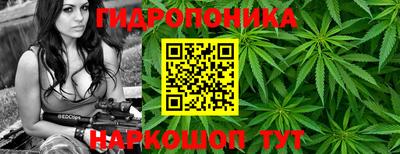 MDMA Краснознаменск