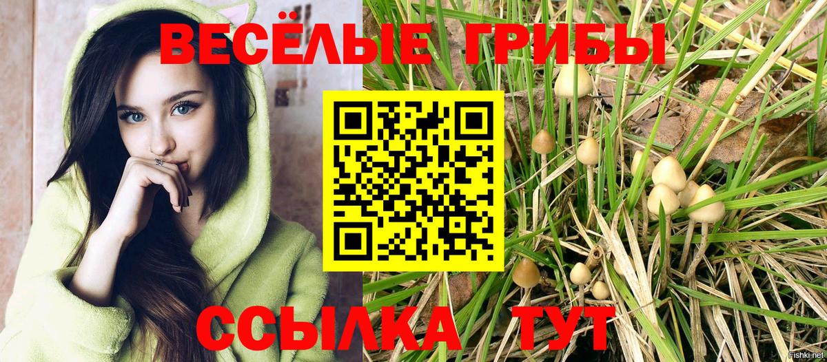 Камень-на-Оби  Галлюциногенные грибы мухоморы  Галлюциногенные грибы ЛСД  купить  цена  Вход с VPN 