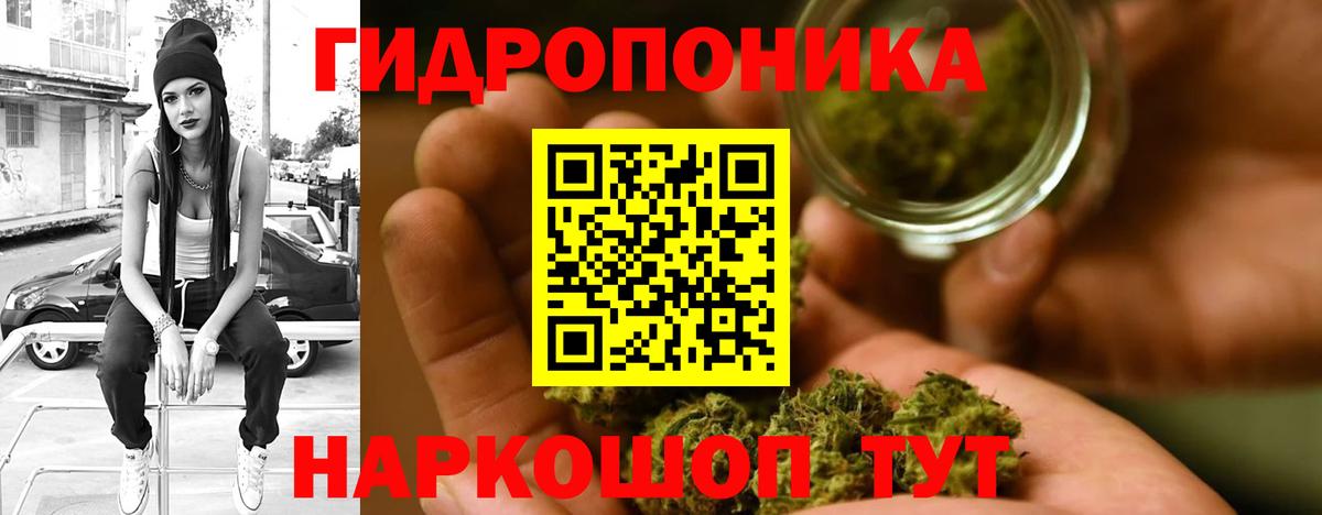 Канабис индика  Конопля индика  Бошки марихуана ГИДРОПОН  Камень-на-Оби  Вход с VPN 